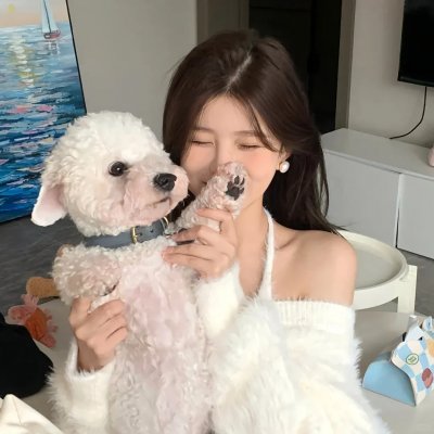 蛛网杀机